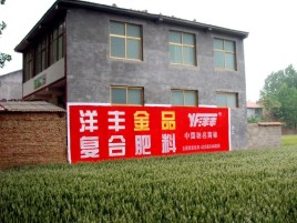 三明如何让墙体广告展现最大化效果
