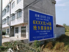 三明墙体广告质量分析